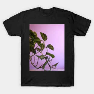 Money plant photography T-Shirt